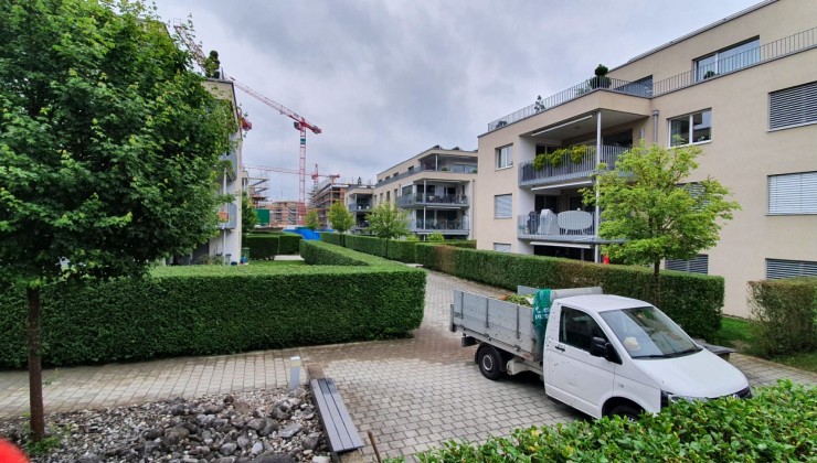 Heckenschnitt Neuer Sonnenberg