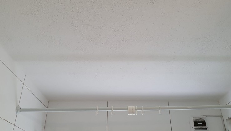 Schimmelbehandlung