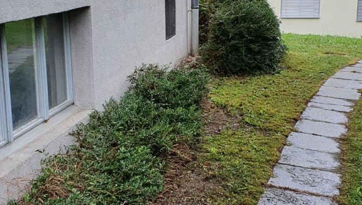 Umgebungsarbeiten Winterthur