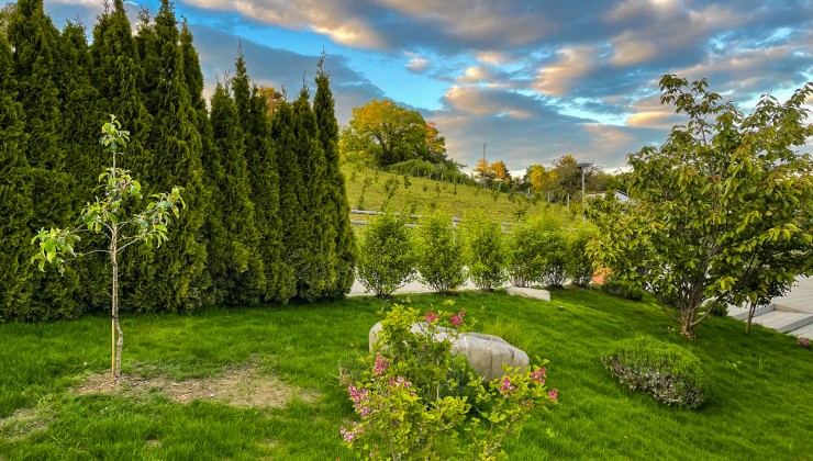 Gartenarbeiten Vorher- Nachher