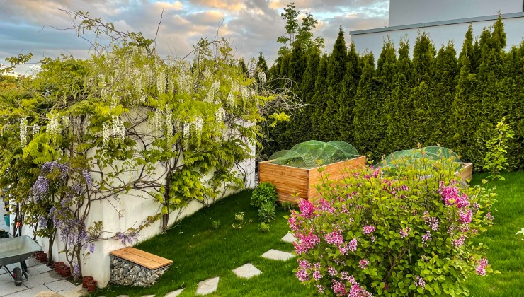 Gartenarbeiten Vorher- Nachher