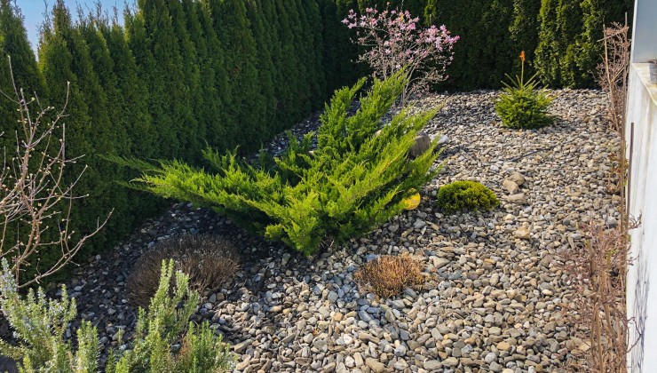 Gartenarbeiten Vorher- Nachher